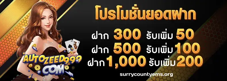 autozeed 999
